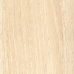 Acacia