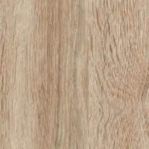 Sonoma Oak